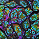Illustration for article titled Pretty pictures of tumors